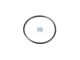 DT Spare Parts 1.27402 O-Ring, d: 25,1 mm, S: 1,6 mm passend für Scania