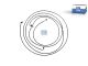 DT Spare Parts 1.28193 Schlauchleitung, Fahrerhauskippung, D: 8,5 mm, M14 x 1,5, M12 x 1,5, L1: 1970 mm, 420 bar passend für Scania