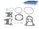 DT Spare Parts 1.31067 Dichtsatz, Ölreiniger passend für Scania
