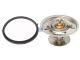 DT Spare Parts 1.31133 Thermostatsatz, 79 °C passend für Multimarken