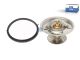 DT Spare Parts 1.31137 Thermostatsatz, 65 °C passend für Scania