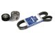 DT Spare Parts 1.31180 Riemenspanner, komplett, mit Keilrippenriemen, 8 PK, L: 1255 mm passend für Scania