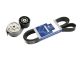 DT Spare Parts 1.31182 Riemenspanner, komplett, mit Keilrippenriemen, 8 PK, L: 1795 mm passend für Scania