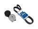 DT Spare Parts 1.31184 Riemenspanner, komplett, mit Keilrippenriemen, 8 PK, L: 2275 mm passend für Scania