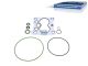 DT Spare Parts 1.31261 Dichtsatz, Kraftstoffpumpe passend für Scania