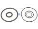 DT Spare Parts 1.31432 Reparatursatz, Kontrollzylinder passend für Scania
