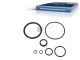 DT Spare Parts 1.31460 Dichtringsatz, Kontrollzylinder passend für Scania