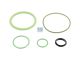 DT Spare Parts 1.31461 Dichtringsatz, Kontrollzylinder passend für Scania