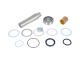 DT Spare Parts 1.31602 Achsschenkelbolzensatz, D: 54,2 mm, D1: 44,4 mm, D2: 40 mm, L: 216 mm passend für Scania