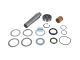 DT Spare Parts 1.31603 Achsschenkelbolzensatz, D: 55 mm, D1: 45 mm, D2: 40 mm, L: 222,5 mm passend für Scania