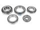DT Spare Parts 1.31630 Lagersatz passend für Scania