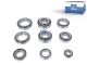 DT Spare Parts 1.31634 Lagersatz passend für Scania