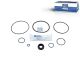 DT Spare Parts 1.31861 Reparatursatz, Relaisventil passend für Multimarken