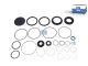 DT Spare Parts 1.31906 Reparatursatz, Lenkgetriebe passend für Multimarken