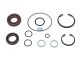 DT Spare Parts 1.31954 Reparatursatz, Lenkhilfepumpe passend für Multimarken