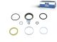 DT Spare Parts 1.32313 Reparatursatz, Hydraulikzylinder passend für Scania
