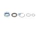 DT Spare Parts 1.32317 Reparatursatz, Hydraulikzylinder passend für Multimarken