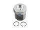 DT Spare Parts 1.33160 Kolben, komplett mit Ringen, D: 127 mm, L: 136 mm passend für Scania