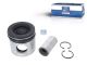 DT Spare Parts 1.33168 Kolben, komplett mit Ringen, D: 127 mm, L: 125,2 mm passend für Scania