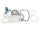 DT Spare Parts 1.35080 Reparatursatz, Retarder passend für Scania