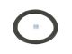 DT Spare Parts 2.10219 Dichtring, d: 40,5 mm, D: 51,5 mm, H: 2,5 mm passend für Multimarken