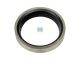 DT Spare Parts 2.10540 Ventilsitzring, Auslass, d: 31 mm, D: 41,1 mm, H: 7,4 mm, ?: 30 ° passend für Volvo