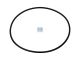 DT Spare Parts 2.10764 O-Ring, Laufbuchse, d: 112 mm, S: 3 mm passend für Multimarken
