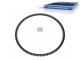 DT Spare Parts 2.10990 Zahnkranz, d: 365 mm, D: 393 mm, 129 teeth passend für Multimarken