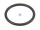 DT Spare Parts 2.12127 O-Ring, d: 55,2 mm, S: 5,7 mm passend für Volvo