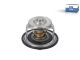 DT Spare Parts 2.15800 Thermostat, 82 °C passend für Multimarken