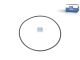 DT Spare Parts 2.15901 O-Ring, d: 125 mm, S: 3 mm passend für Multimarken