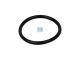 DT Spare Parts 2.15937 O-Ring, d: 59 mm, S: 5,8 mm passend für Multimarken