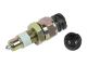 DT Spare Parts 2.27171 Schalter, Differentialsperre, M18 x 1,5 passend für Multimarken