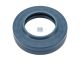 DT Spare Parts 2.30311 Wellendichtring, d: 32 mm, D: 55 mm, H1: 6 mm, H2: 9 mm passend für Volvo
