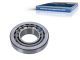 DT Spare Parts 2.35012 Kegelrollenlager, d: 75 mm, D: 160 mm, H: 40 mm passend für Multimarken
