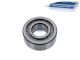 DT Spare Parts 2.35025 Rollenlager, d: 45 mm, D: 100 mm, H: 36 mm passend für Volvo