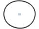 DT Spare Parts 2.40204 O-Ring, d: 48 mm, S: 1,8 mm passend für Multimarken