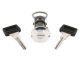 DT Spare Parts 2.72113 Schließzylinder, links passend für Volvo