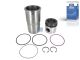 DT Spare Parts 2.90100SP Kolben mit Laufbuchse, D: 131 mm passend für Multimarken