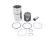 DT Spare Parts 2.90116 Kolben mit Laufbuchse, D: 131 mm passend für Volvo
