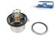 DT Spare Parts 2.91506 Thermostatsatz, 82 °C passend für Volvo