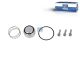 DT Spare Parts 2.94814 Reparatursatz, Einlassventil passend für Volvo