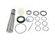 DT Spare Parts 2.95001 Achsschenkelbolzensatz, D1: 50 mm, D2: 38 mm, M36 x 1,5, L: 251,5 mm passend für Volvo