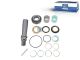 DT Spare Parts 2.95012 Achsschenkelbolzensatz, mit Lager, D1: 48 mm, D2: 37 mm, M33 x 2, L: 237 mm passend für Volvo