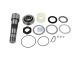 DT Spare Parts 2.95018 Achsschenkelbolzensatz, mit Lager, D1: 60 mm, D2: 40 mm, M40 x 1,5, L: 226,5 mm passend für Multimarken