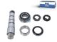 DT Spare Parts 2.95020 Achsschenkelbolzensatz, mit Lager, D1: 53 mm, D2: 40 mm, M40 x 1,5, M38 x 1,5, L1: 237,5 mm passend für Multimarken