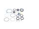 DT Spare Parts 2.95115 Reparatursatz, Lenkgetriebe passend für Volvo