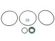 DT Spare Parts 2.95127 Reparatursatz, Lenkhilfepumpe passend für Multimarken