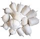 Polierköpfe-Sortiment | Antrieb 6,3 mm (1/4