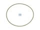 DT Spare Parts 3.10174 O-Ring, d: 126 mm, S: 3 mm passend für Multimarken